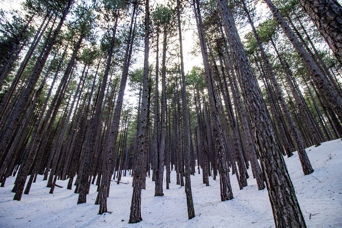 Paesaggio: Etna, Sicilia
