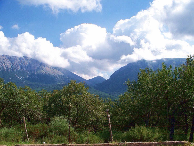 Paesaggio: Madonie