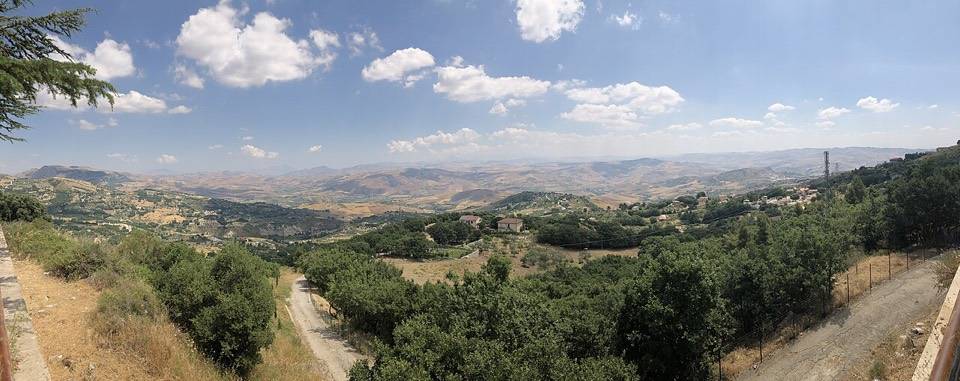 La vista da Cammarata sulle colline dei Sicani, con la strada che scende fra gli alberi