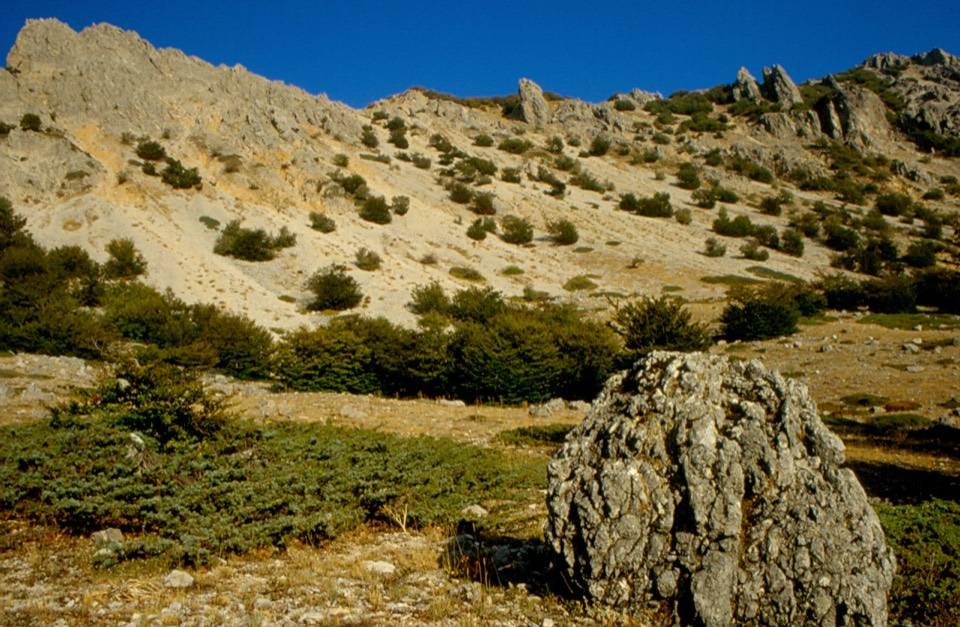 Rocce calcaree, pini e arbusti nella conca della Quacella
