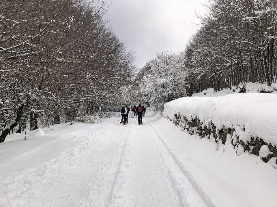 La strada di Portella Femmina Morta coperta di neve fra i faggi