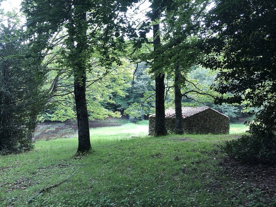 La casetta in pietra accanto allo stagno, fra i faggi