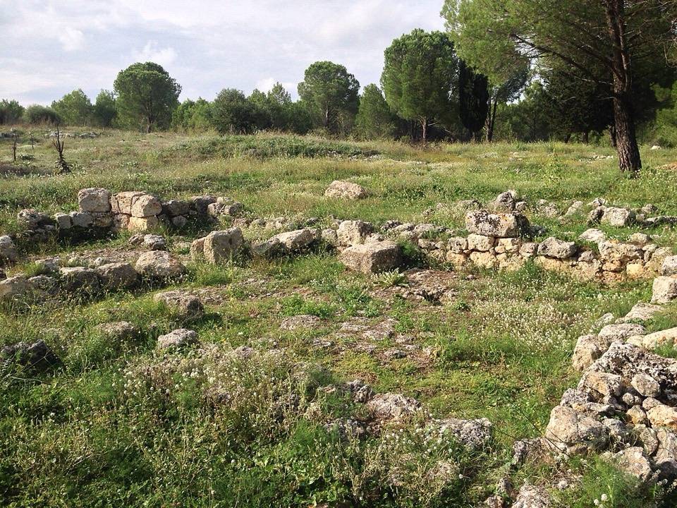I resti di una chiesa bizantina fra i pini a Giarranauti