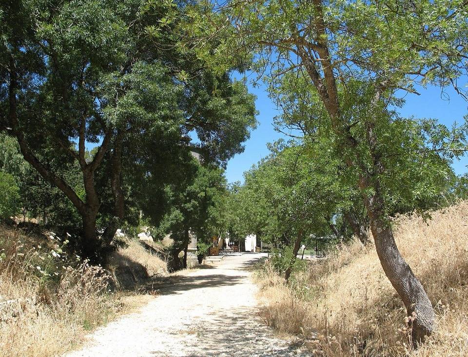 La pista sterrata sul vecchio tracciato ferroviario, fra alberi e sterpaglie