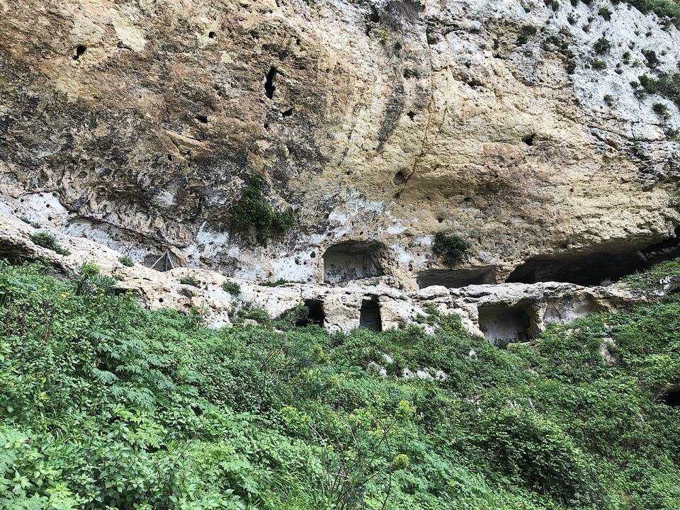 I Dieri di Cavagrande, grotte scavate nella parete di calcare sopra il bosco