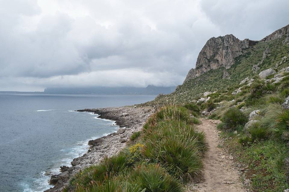 Il sentiero fra le palme nane lungo la costa, con la cresta di Monte Cofano sopra