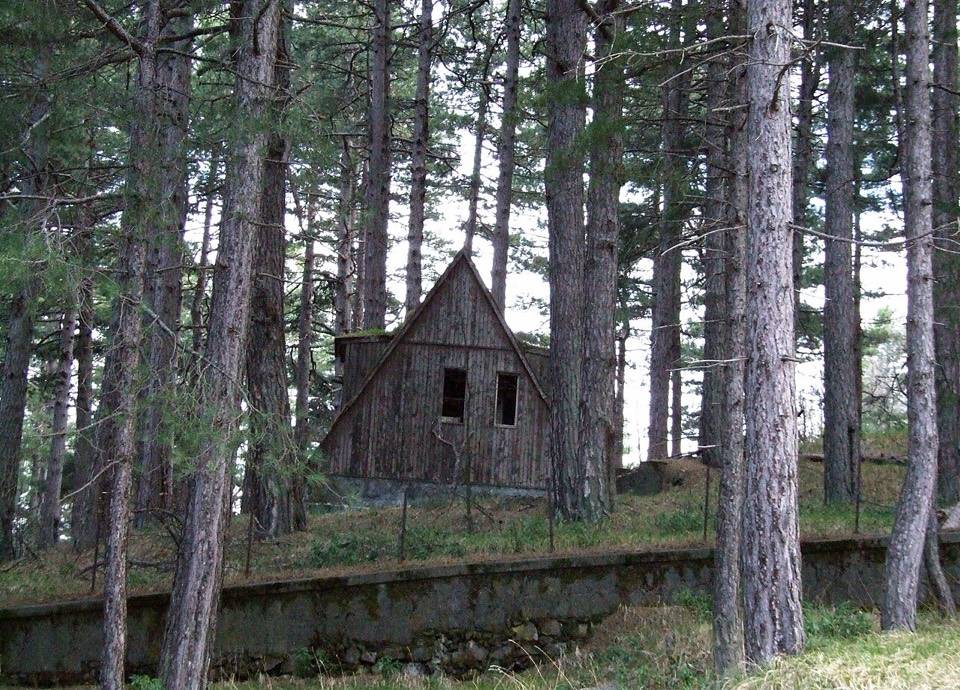 Una baracca di legno nella pineta, nel tratto verso Piano della Pernicana