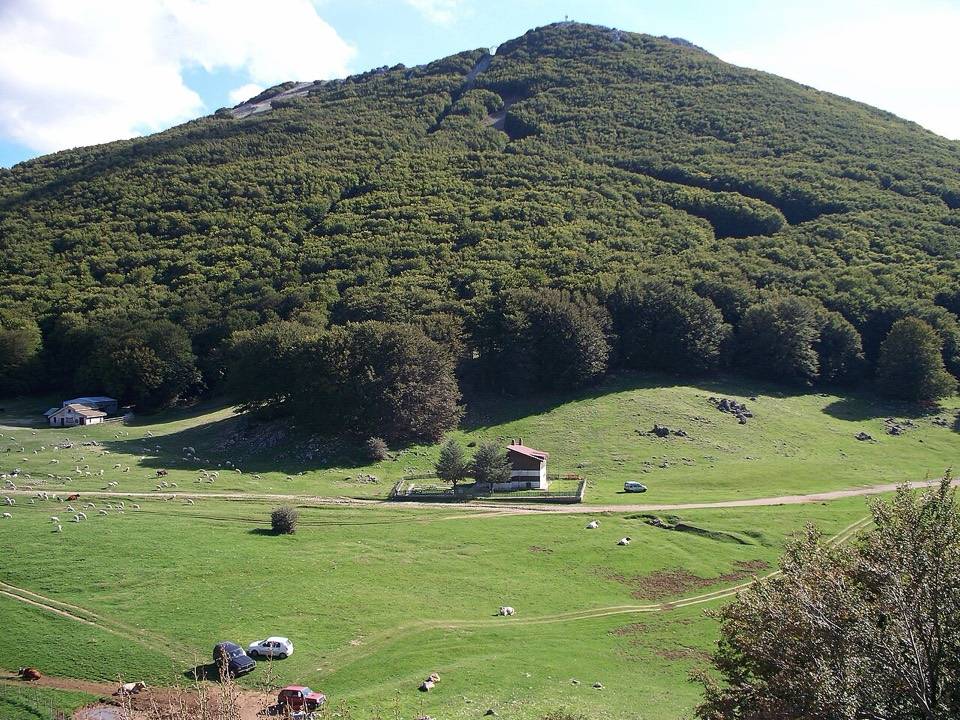 Piano Battaglia con i pascoli e il bosco sul monte alle spalle