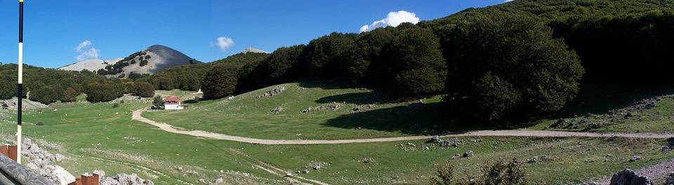 La pista sterrata che attraversa i pascoli di Piano Battaglia al margine della faggeta