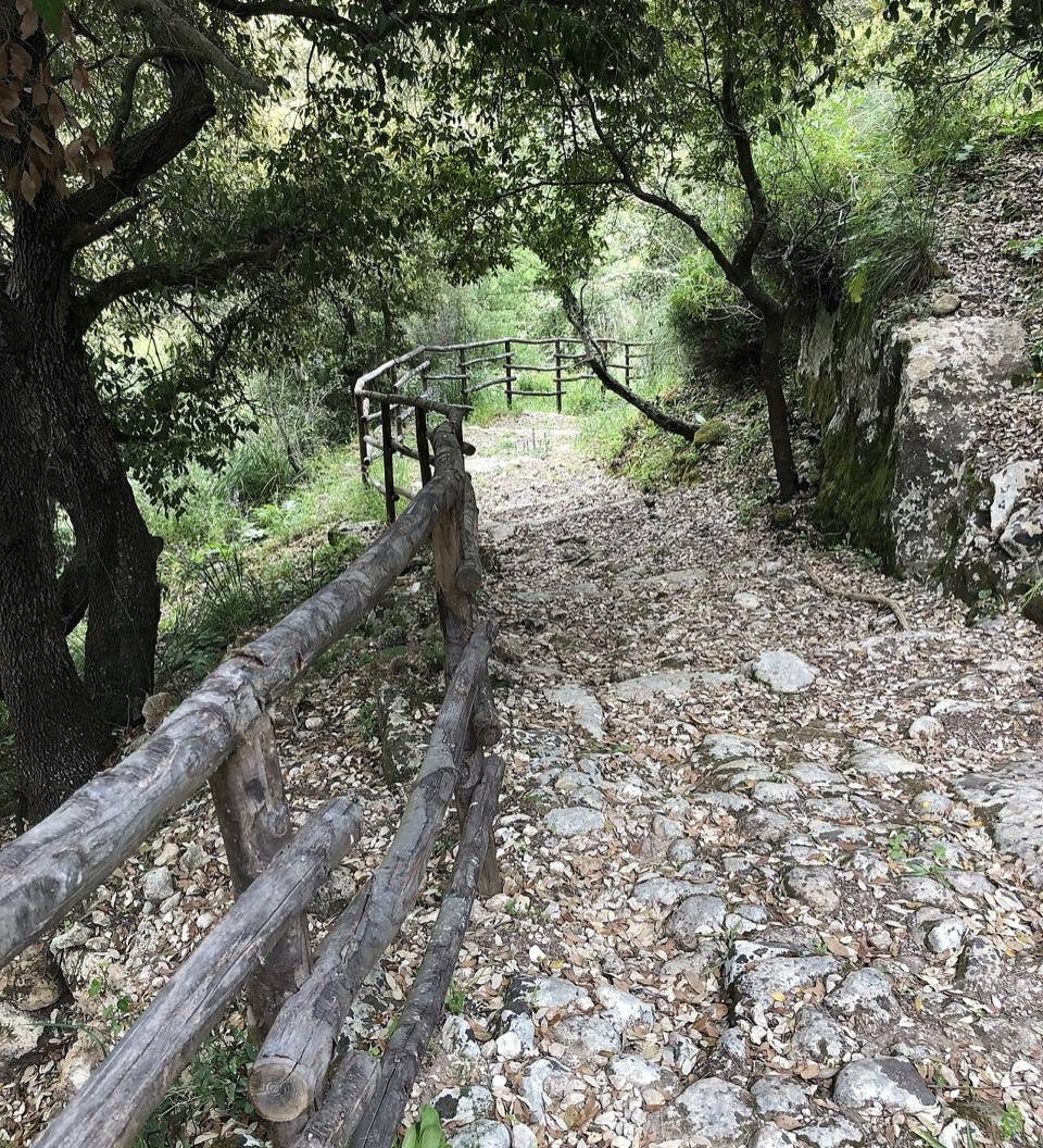 Il sentiero sassoso con staccionata in legno che scende nel bosco verso la cava