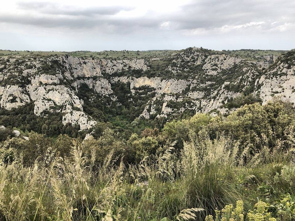Le pareti calcaree di Cavagrande del Cassibile viste dal bordo dell'altopiano