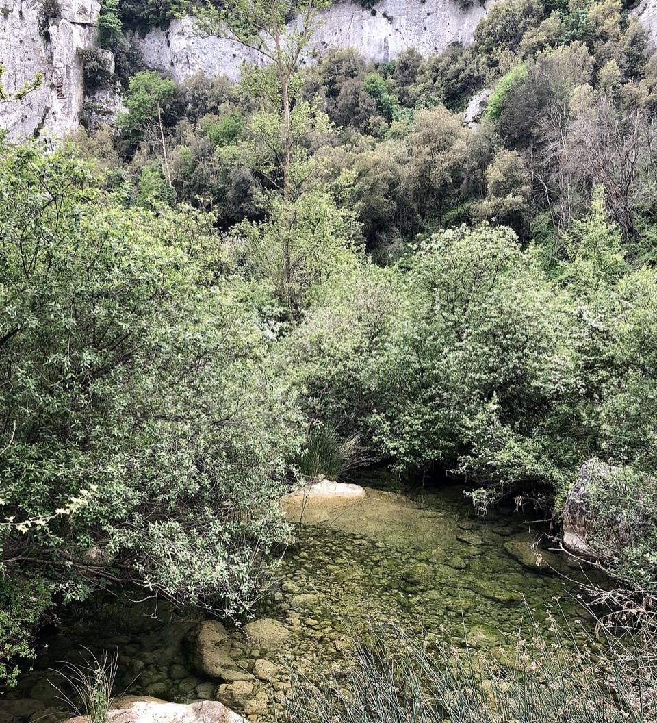 Una pozza del Cassibile fra la vegetazione sul fondo della cava