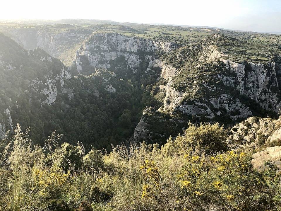 Il canyon di Cavagrande dall'orlo, con le ginestre in fiore in primo piano