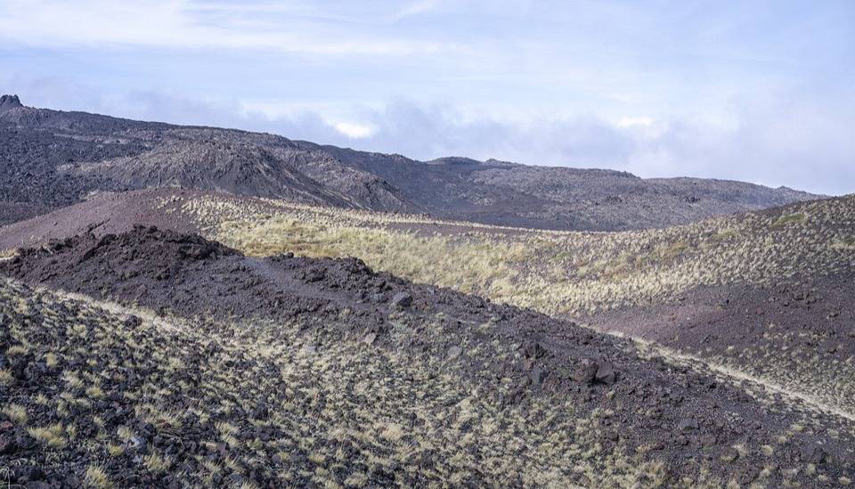 Una traccia fra i campi di lava e l'erba rada sui fianchi dell'Etna
