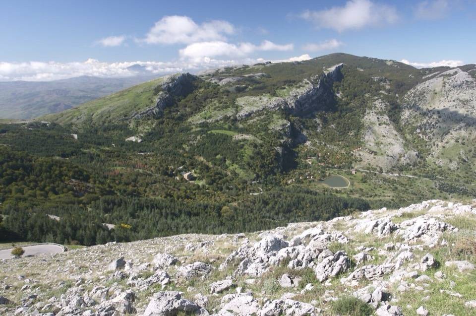 Il versante del Pizzo Carbonara lungo la salita da Piano Battaglia, fra calcare e boschi