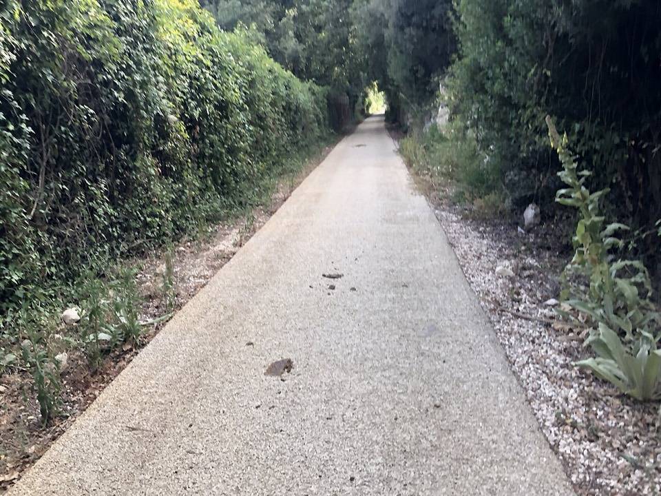 La pista ciclopedonale sull'ex ferrovia fra Cassaro e Palazzolo Acreide, chiusa fra la vegetazione